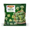 FLEURETTES DE BROCOLI 600 G SURGELÉ
