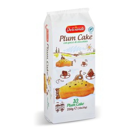 PLUM-CAKE AUX PÉPITES DE CHOCOLAT, 10 PIÈCES