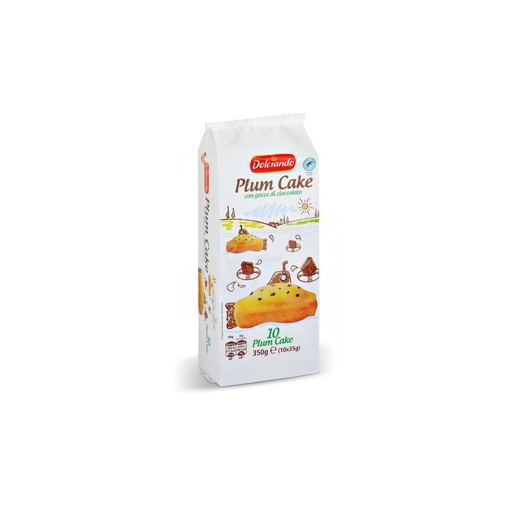 PLUM CAKE CON GOCCE DI CIOCCOLATO, 10 PZ