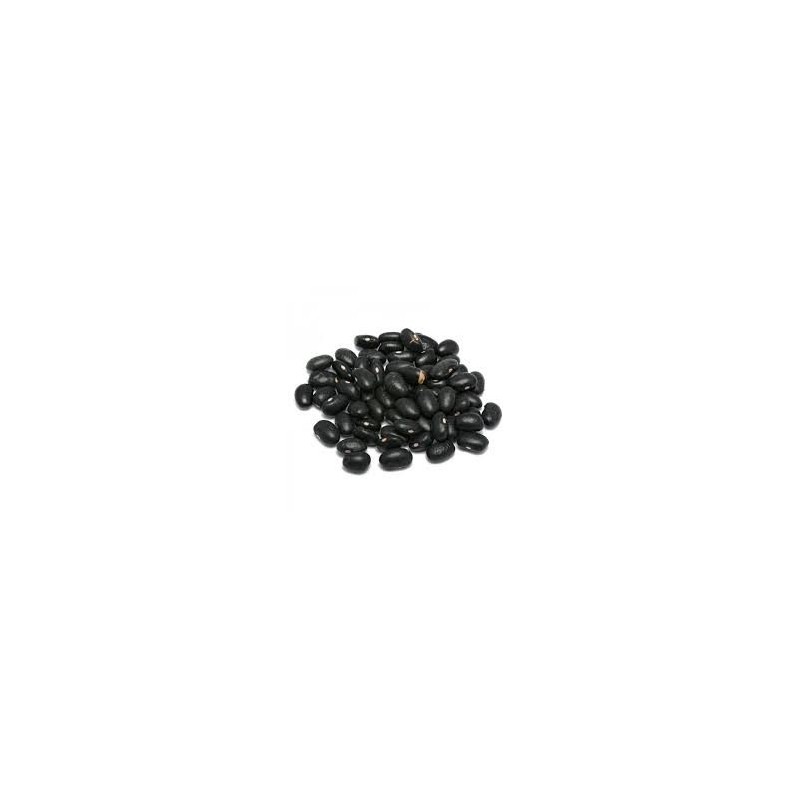 HARICOTS NOIRS TERRAVECCHIA 500 GR