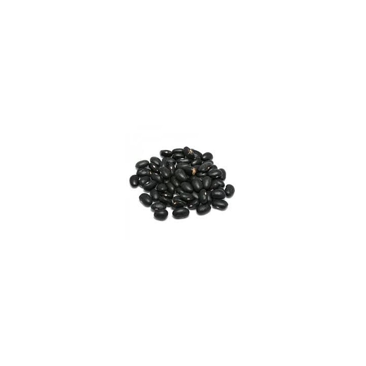 FAGIOLI NERI TERRAVECCHIA 500 GR