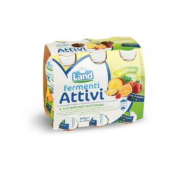 YAOURT AUX FERMENTS ACTIFS MULTIFRUITS 6 X 100 GR