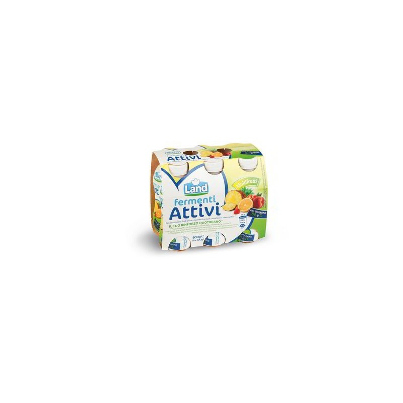 YAOURT AUX FERMENTS ACTIFS MULTIFRUITS 6 X 100 GR