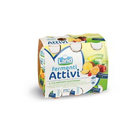 YAOURT AUX FERMENTS ACTIFS MULTIFRUITS 6 X 100 GR