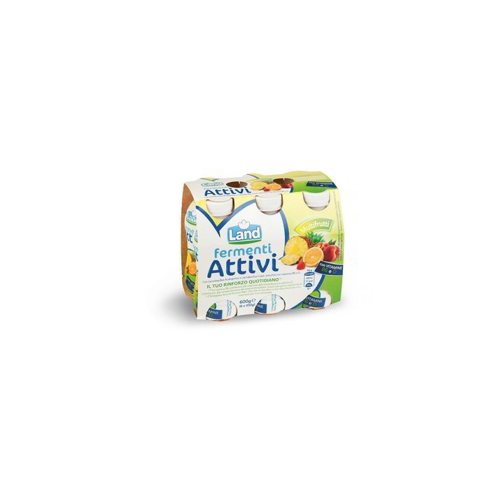 Yogurt Fermenti attivi multifrutti 6x100gr