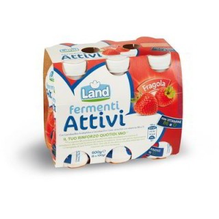 Bevanda fermenti attivi alla fragola 6x100gr