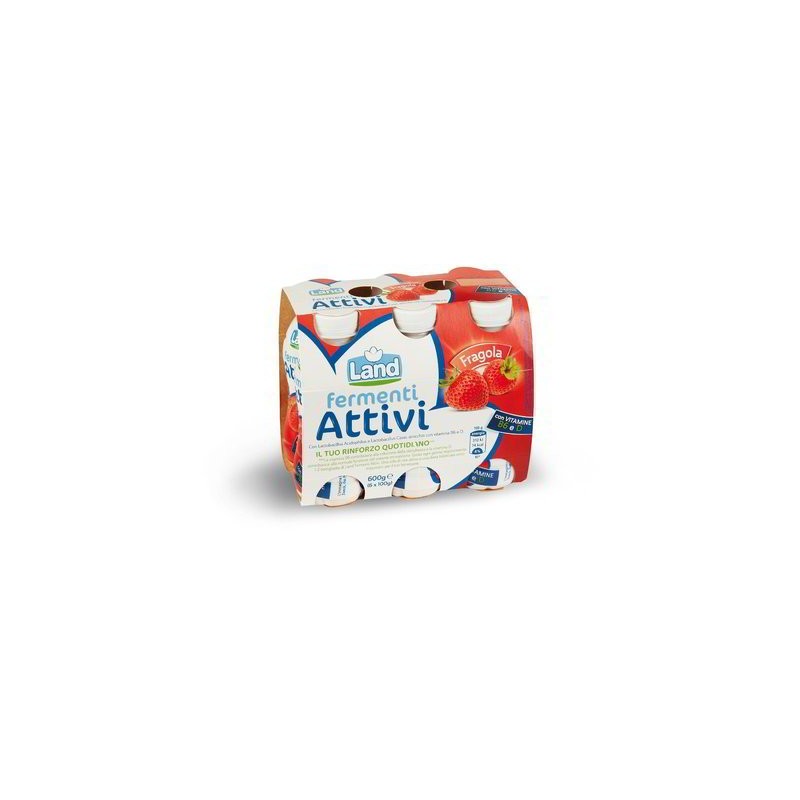 BOISSON AUX FERMENTS ACTIFS FRAISE 6 X 100 GR