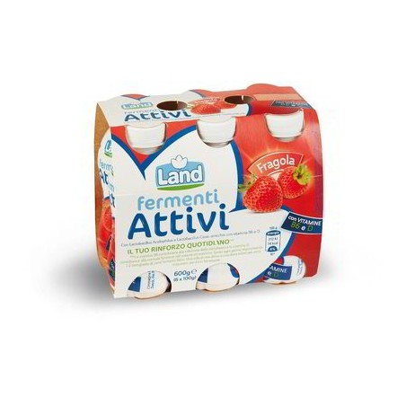 BOISSON AUX FERMENTS ACTIFS FRAISE 6 X 100 GR