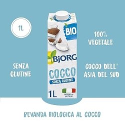LAIT DE COCO BJORG 1 L