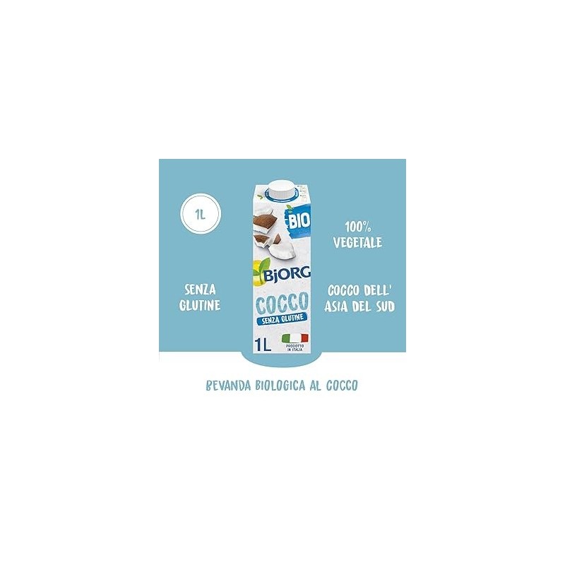 LAIT DE COCO BJORG 1 L