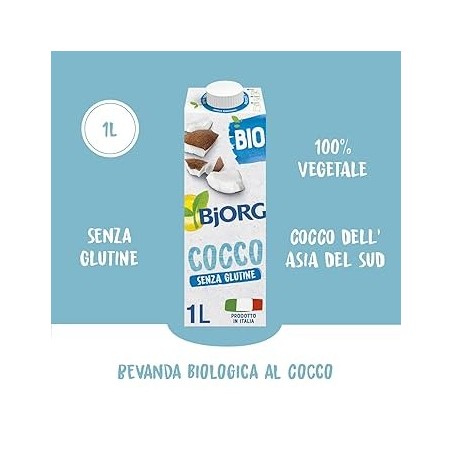 LAIT DE COCO BJORG 1 L