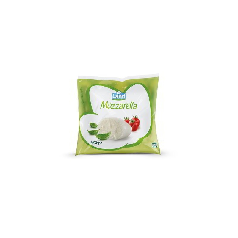 MOZZARELLA 4 X 125 GR