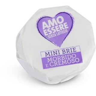 Formaggio mini brie senza lattosio 150 gr