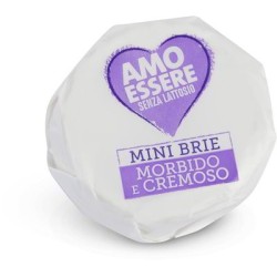 MINI BRIE SANS LACTOSE 150 GR