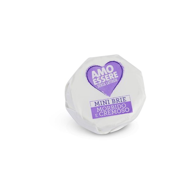 MINI BRIE SANS LACTOSE 150 GR