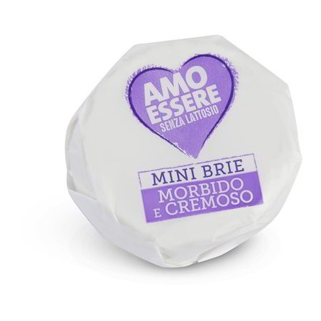 MINI BRIE SANS LACTOSE 150 GR