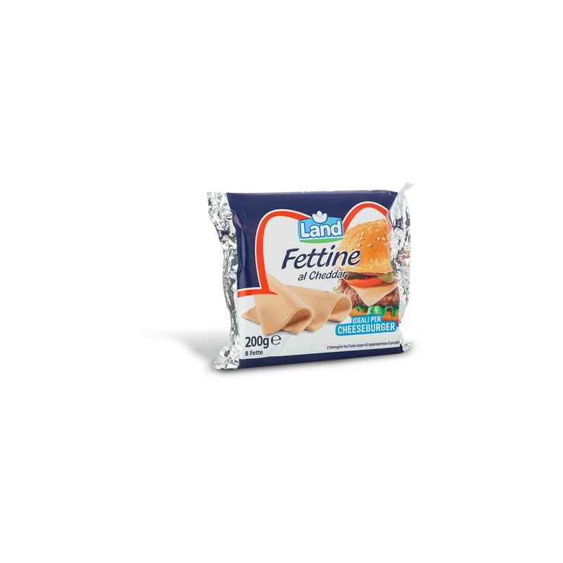 TRANCHES DE CHEDDAR 200 GR