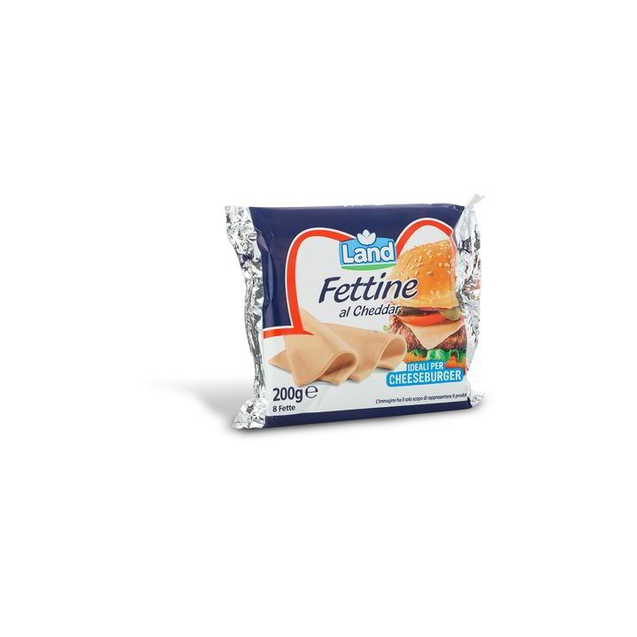 Fettine al cheddar 200gr