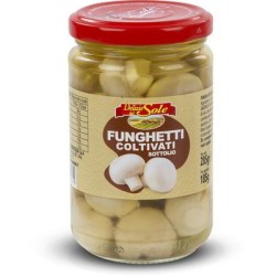 CHAMPIGNONS CULTIVÉS 285 GR