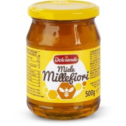 MIEL MILLE FLEURS 500 GR